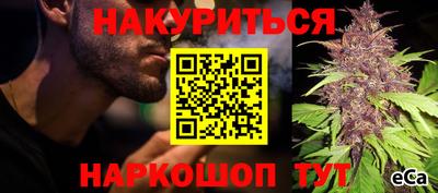 индика Ливны