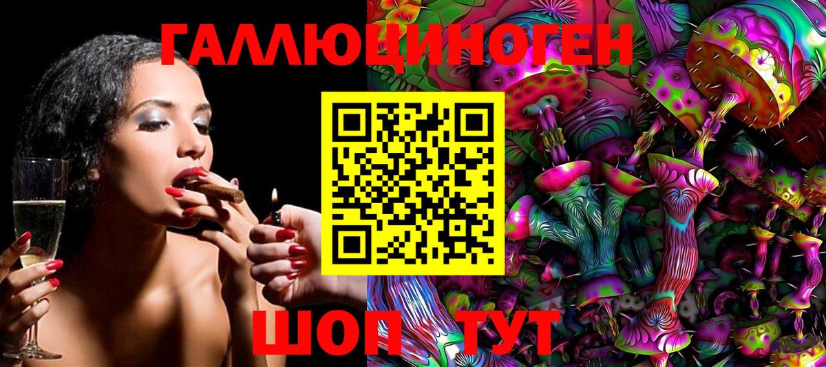 Галлюциногенные грибы Psilocybe Тимашёвск