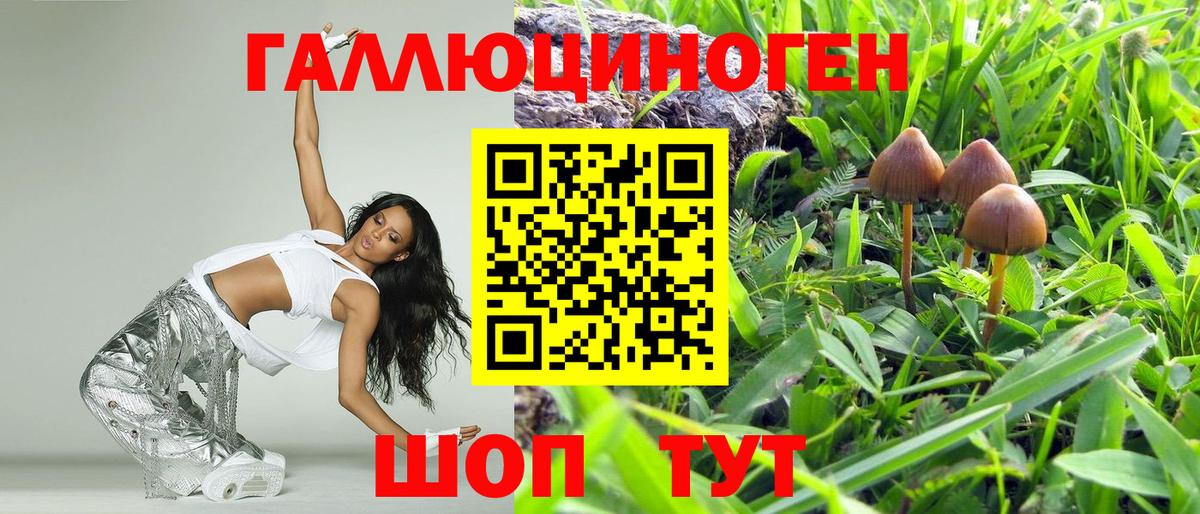 Галлюциногенные грибы Cubensis  Вход с VPN  Псилоцибиновые грибы Psilocybe  Тимашёвск 